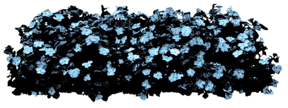 H-flowersmoonlit_adj